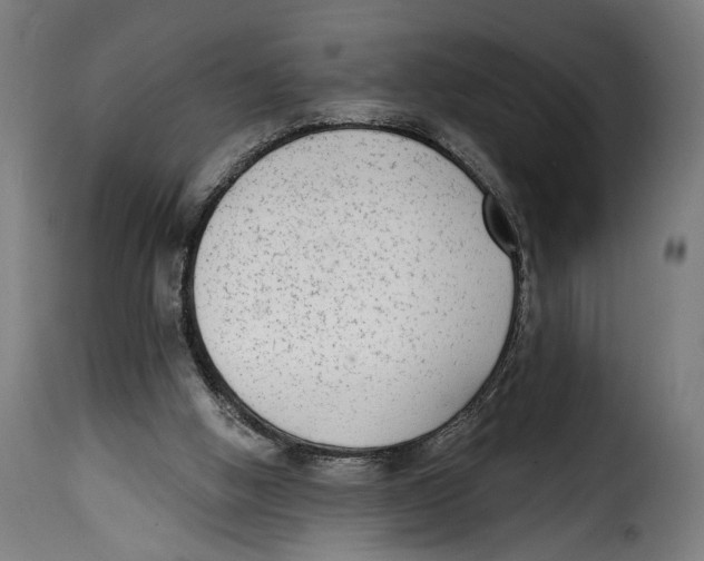 X0000114990058200911231151