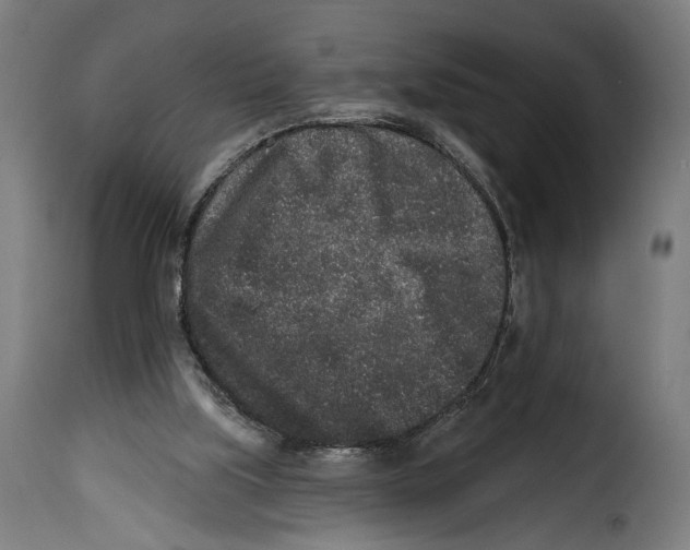 X0000114990059200911231151