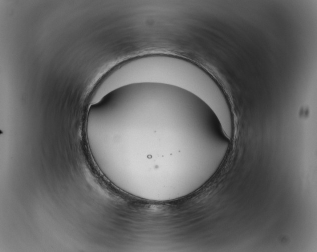 X0000114990060200911231151