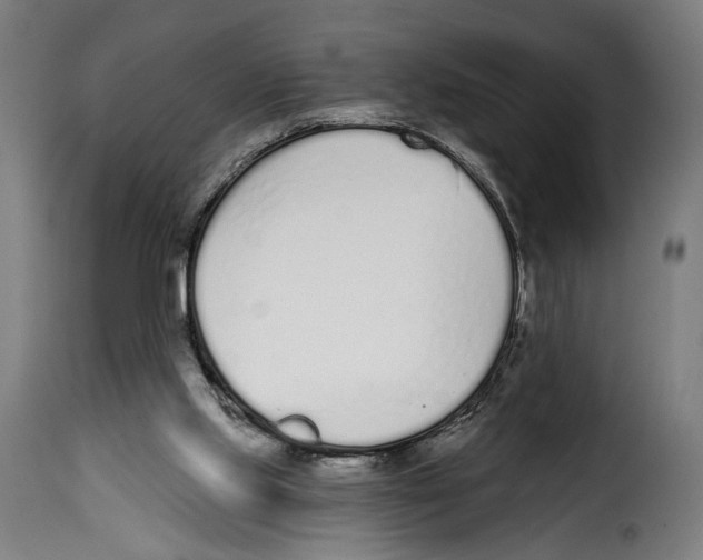 X0000114990061200911231151