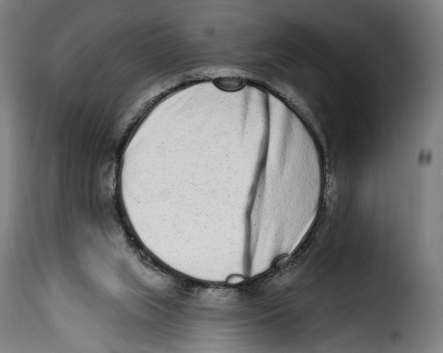 X0000114990063200911231151