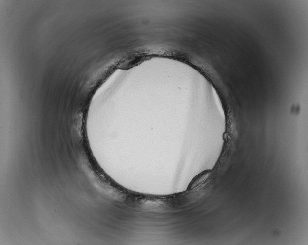 X0000114990066200911231151