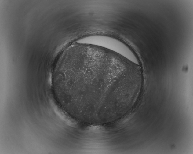 X0000114990067200911231151