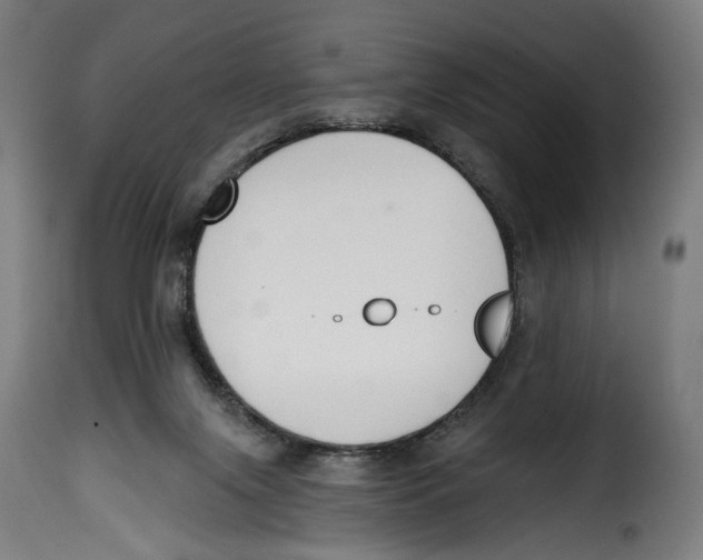 X0000114990071200911231151