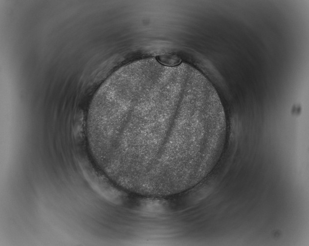 X0000114990073200911231151