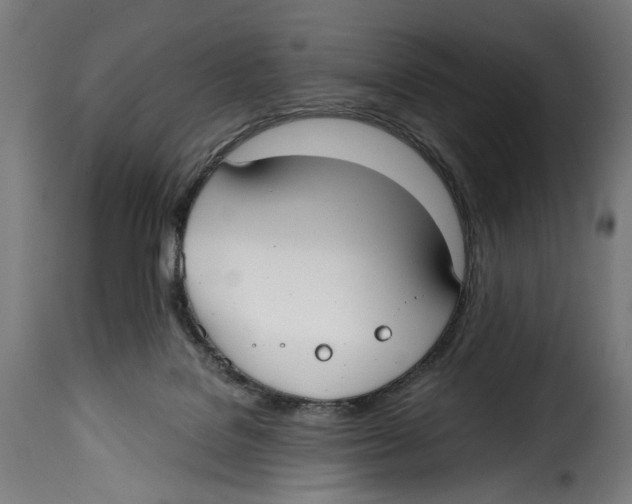 X0000114990076200911231151