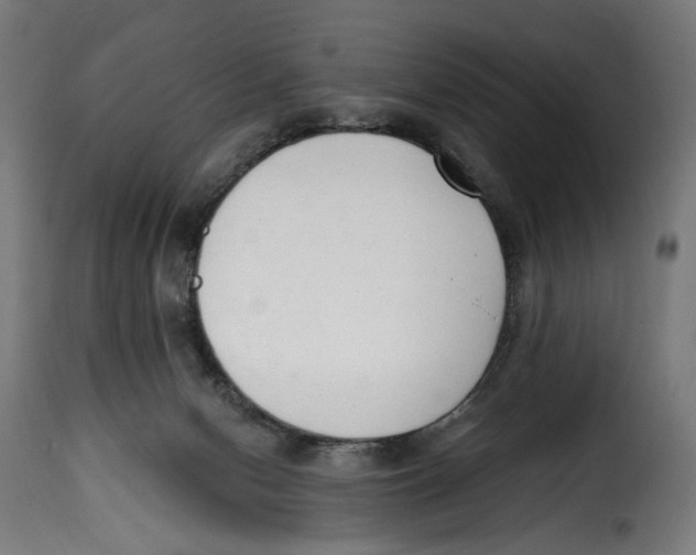 X0000114990078200911231151