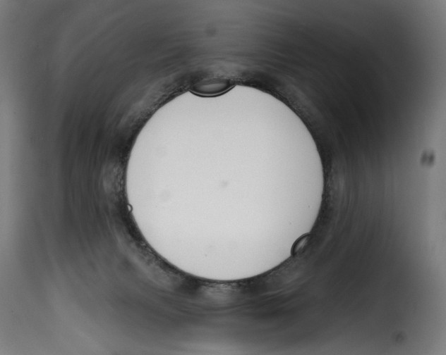 X0000114990079200911231151