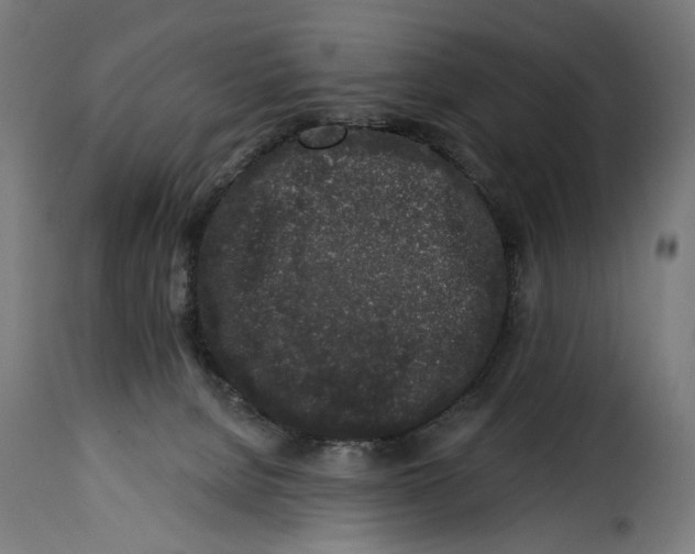 X0000114990080200911231151