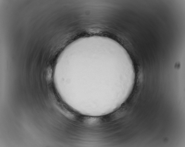 X0000114990081200911231151