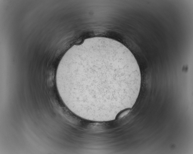 X0000114990082200911231151