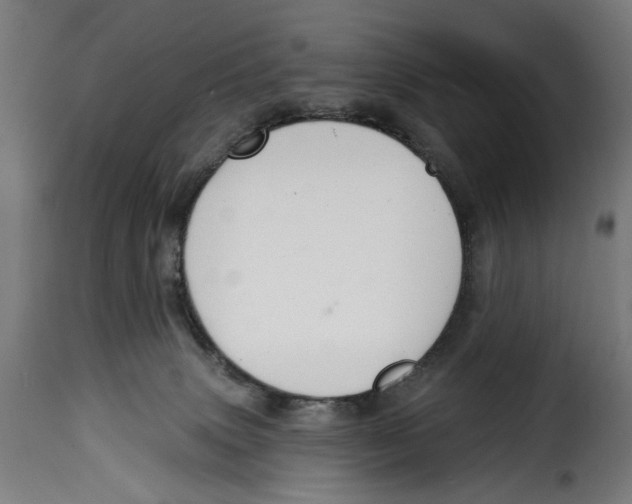 X0000114990083200911231151