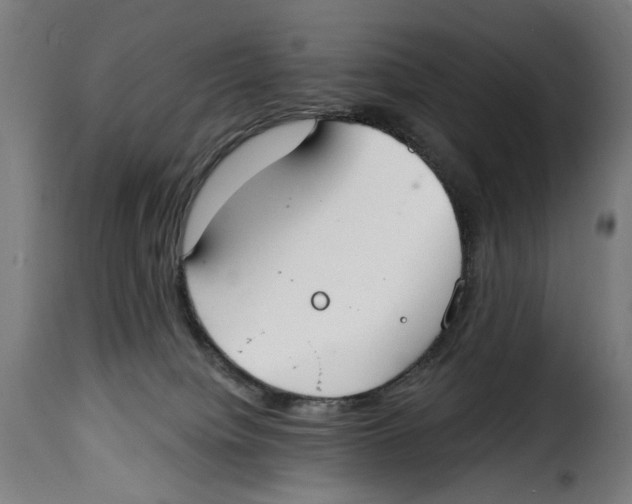 X0000114990084200911231151