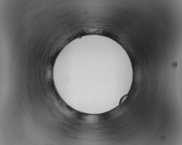 X0000114990085200911231151