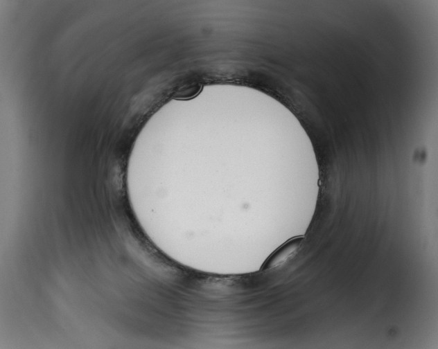 X0000114990086200911231151