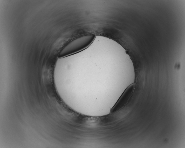 X0000114990088200911231151