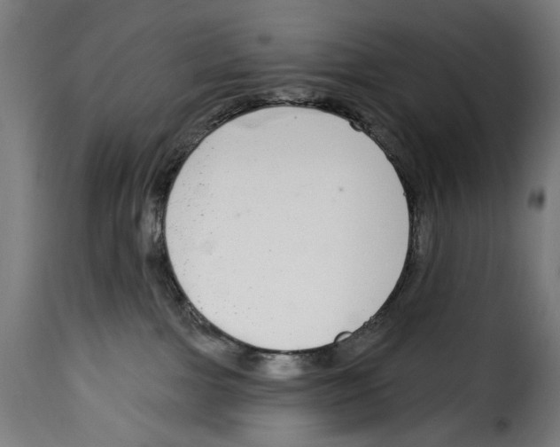 X0000114990091200911231151