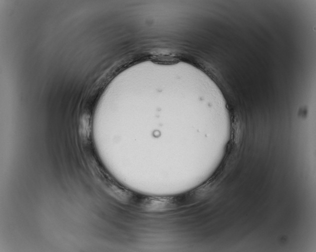 X0000114990093200911231151