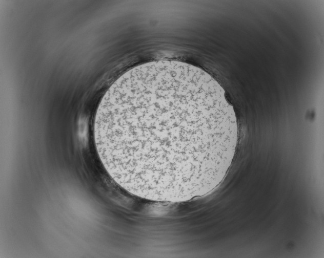 X0000114990094200911231151