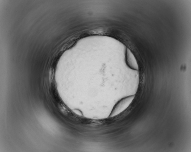 X0000114990095200911231151