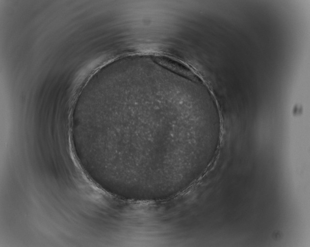 X0000114990097200911231150