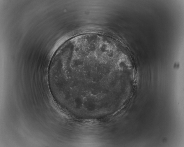 X0000114990099200911231150