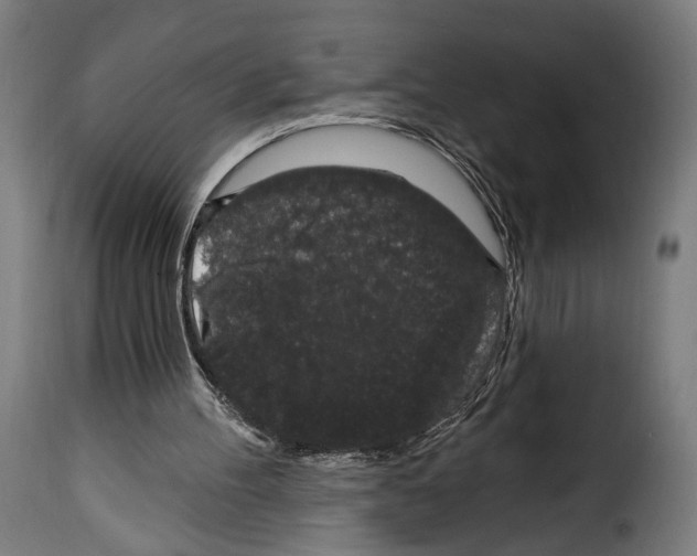 X0000114990100200911231150