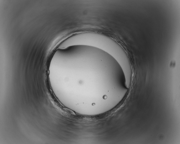 X0000114990101200911231150