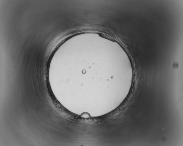 X0000114990103200911231150