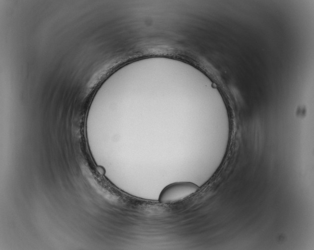 X0000114990106200911231150