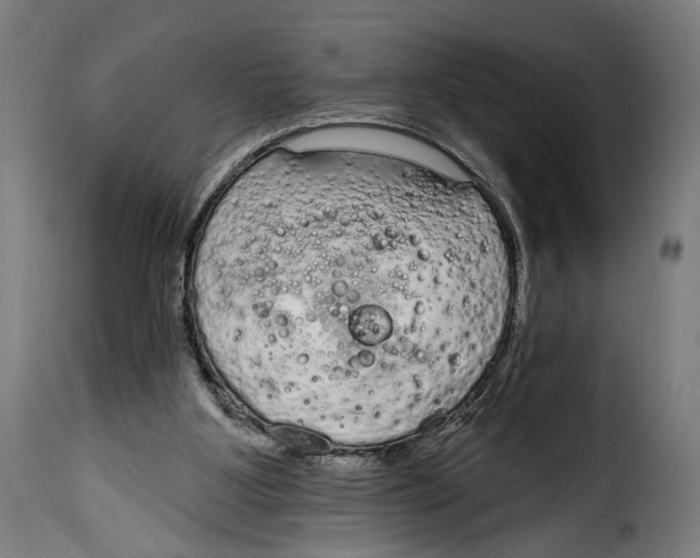 X0000114990107200911231150