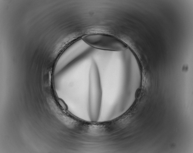 X0000114990109200911231150