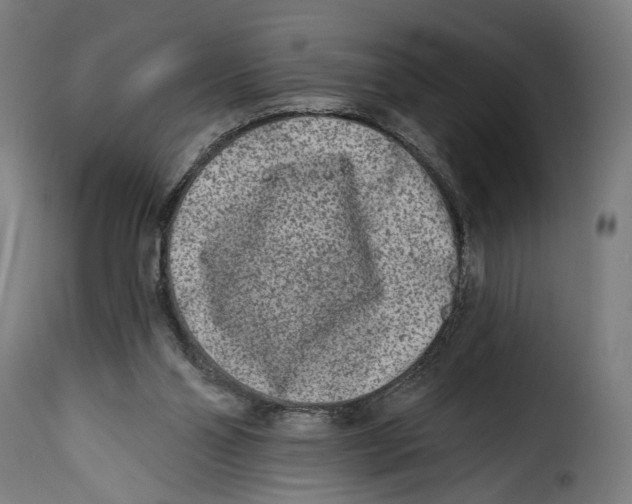 X0000114990110200911231150