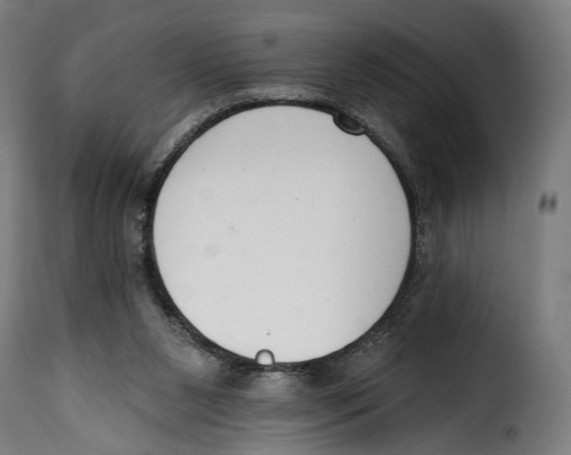 X0000114990111200911231150