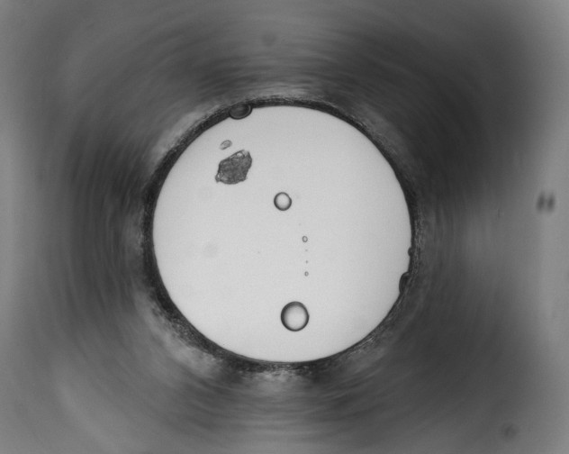 X0000114990112200911231150