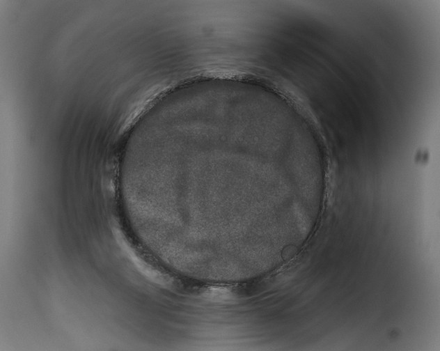 X0000114990114200911231150