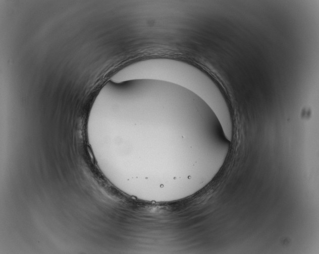 X0000114990117200911231150