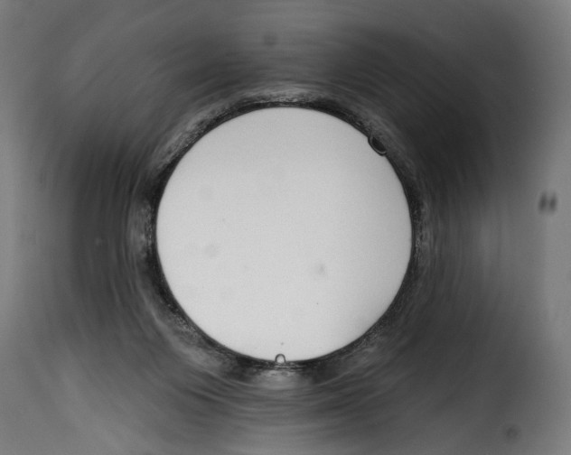 X0000114990119200911231150