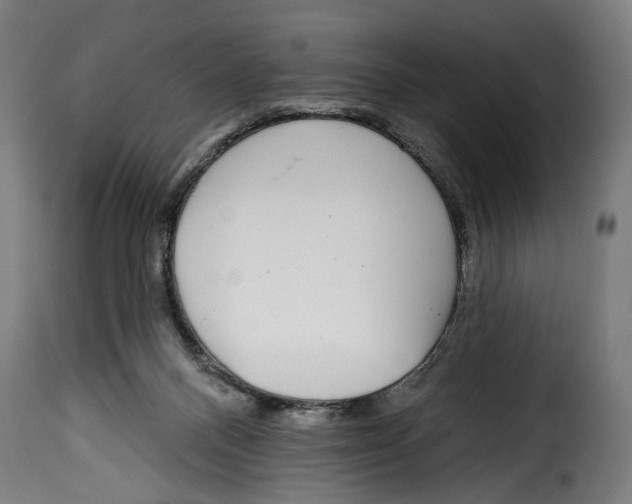 X0000114990120200911231150