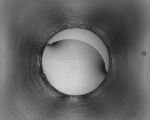 X0000114990121200911231150