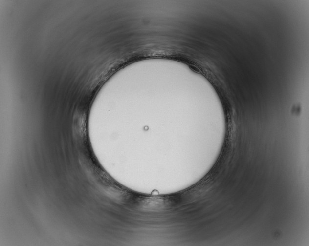 X0000114990123200911231150