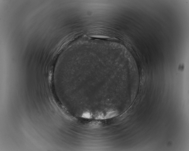 X0000114990124200911231150