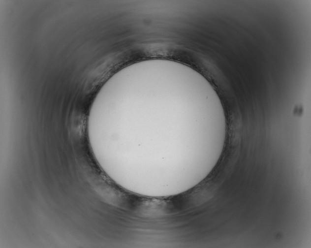 X0000114990125200911231150