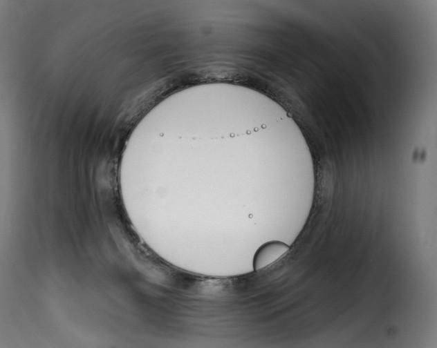 X0000114990126200911231150