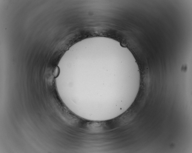 X0000114990129200911231150