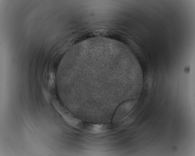 X0000114990130200911231150