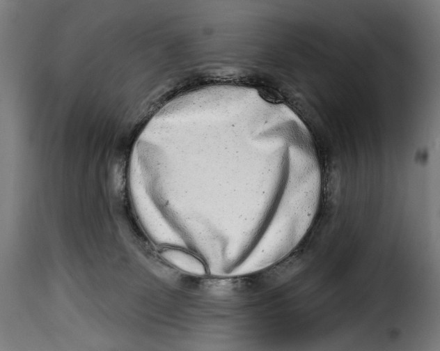 X0000114990131200911231150