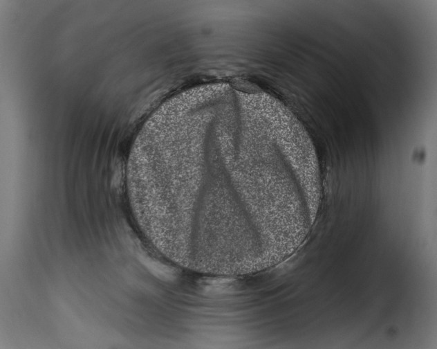 X0000114990132200911231150