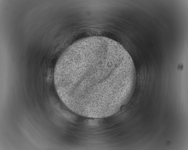 X0000114990134200911231150