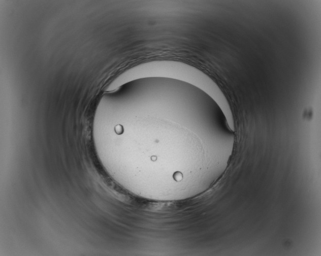 X0000114990136200911231150